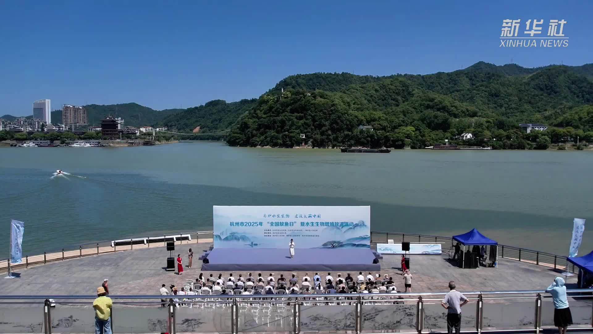 杭州桐庐：“全国放鱼日” 83万尾鱼苗跃入富春江