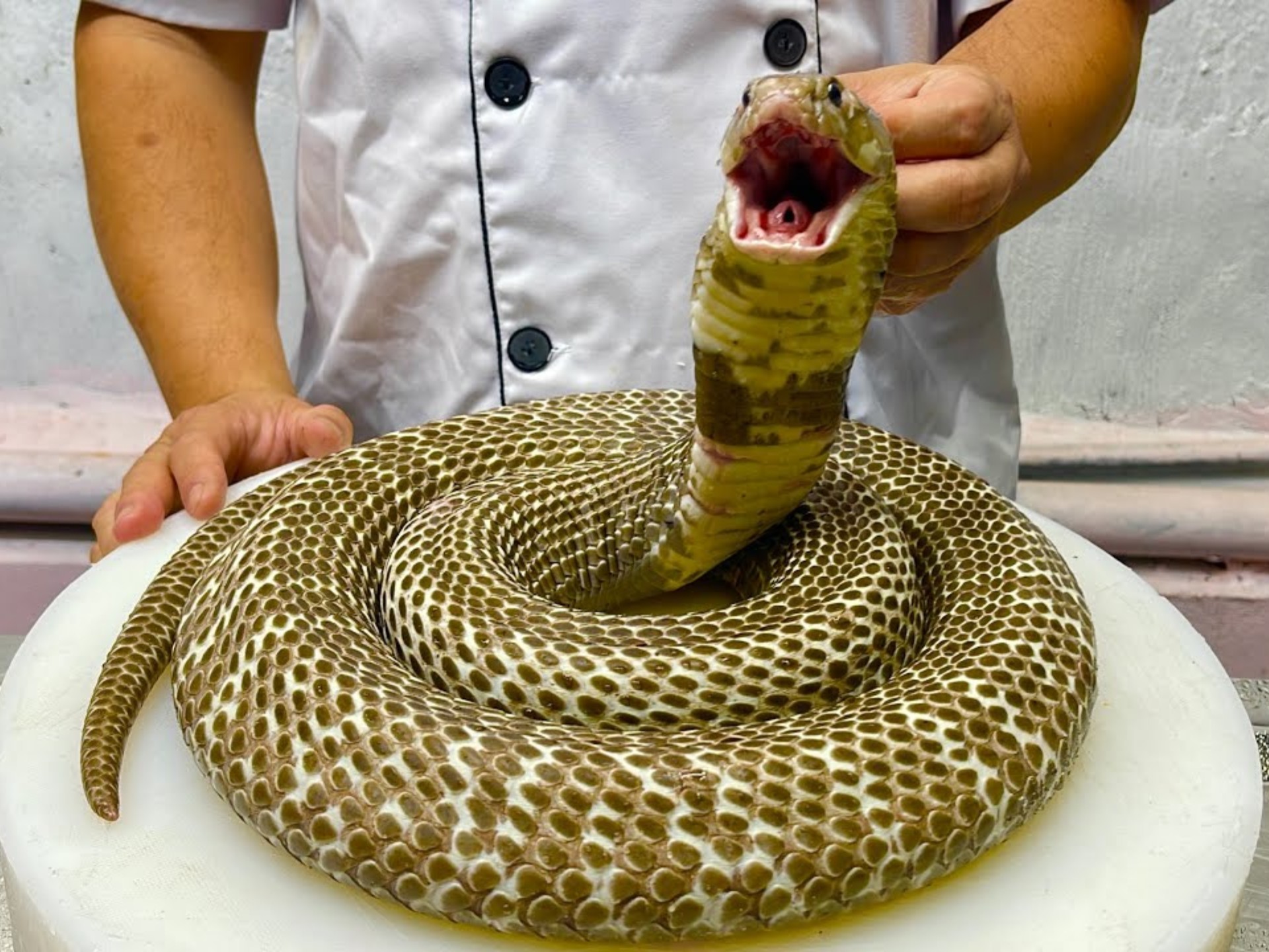 越南厨师宰杀烹饪一条眼镜蛇，最后竟将其做成四菜一汤