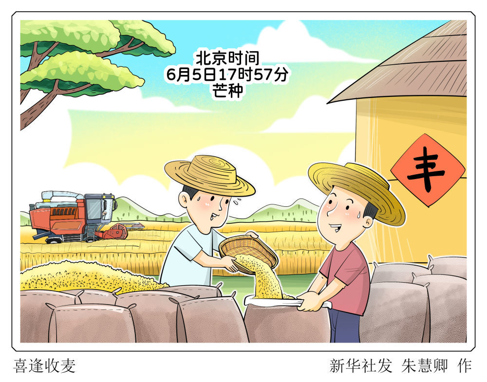 芒种时节咋养生 这份锦囊快码住