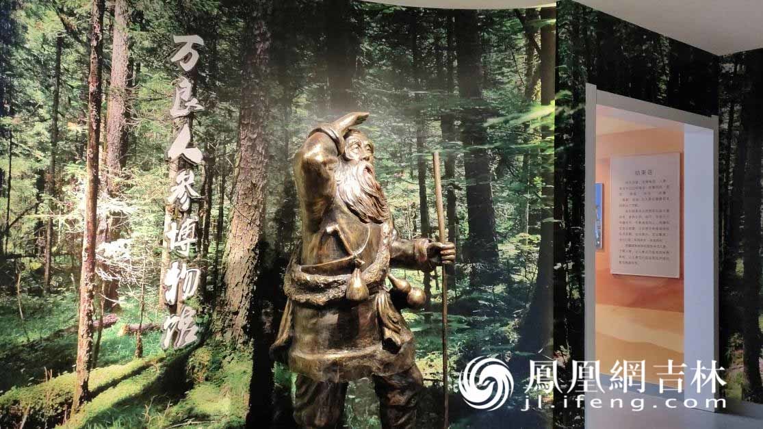 绿水青山成万良参农的“幸福靠山”