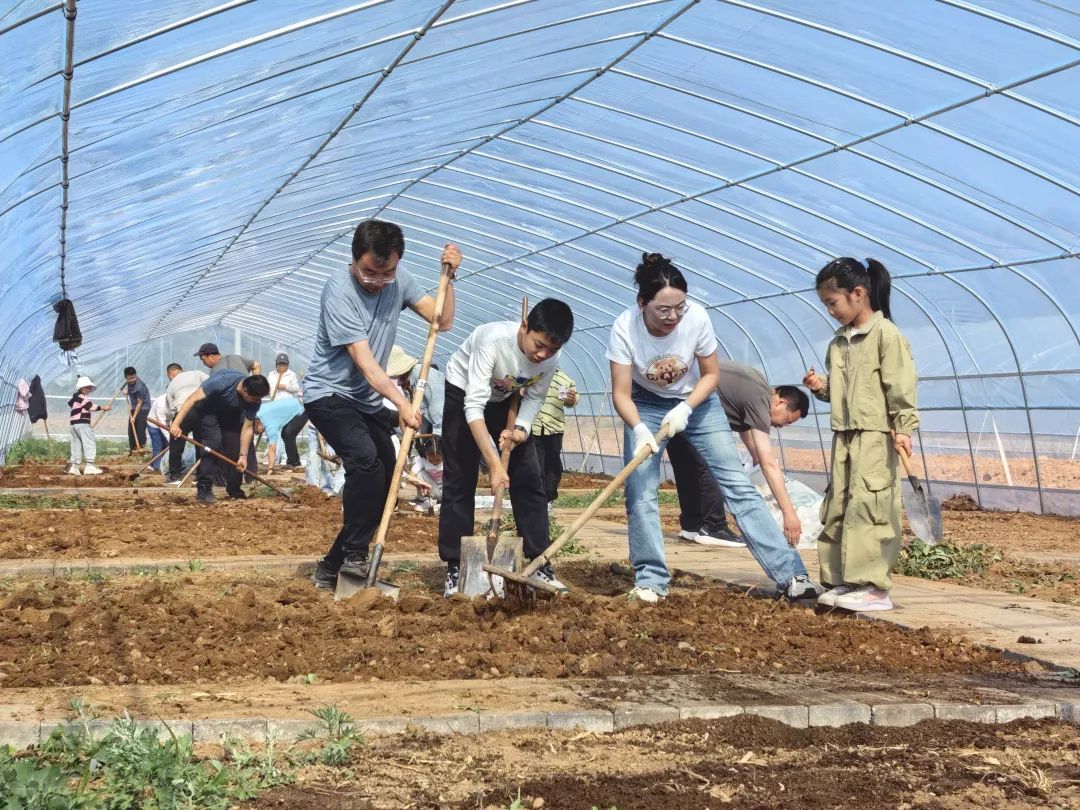 农户化身乡土讲师　华亭这个小学的“共享菜园”了解下