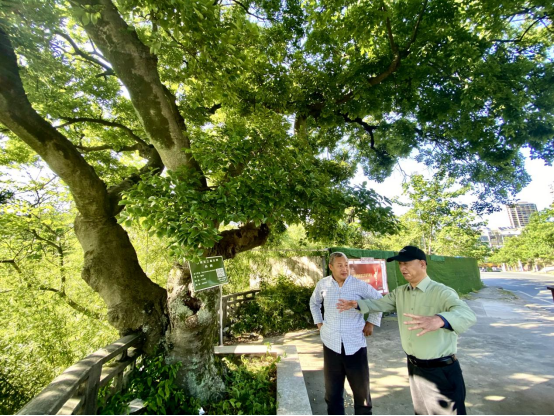 西津渡口的黄檗故迹 | 吴越黄檗踪迹