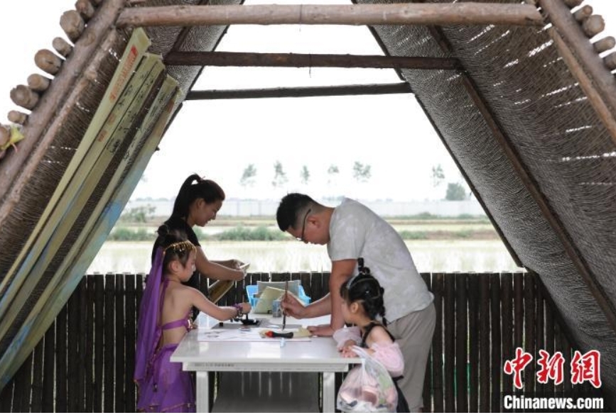 稻田寻宝、牧场奇遇、插秧比赛……端午节当天，在河北省沧县兴济镇南堤村盐碱稻田乐园里，200多个家庭参与“盐碱稻田寻宝季”活动，感受别样端午。图为游客在河北省沧县兴济镇南堤村的盐碱稻田乐园中体验田园诗画。 田博 摄