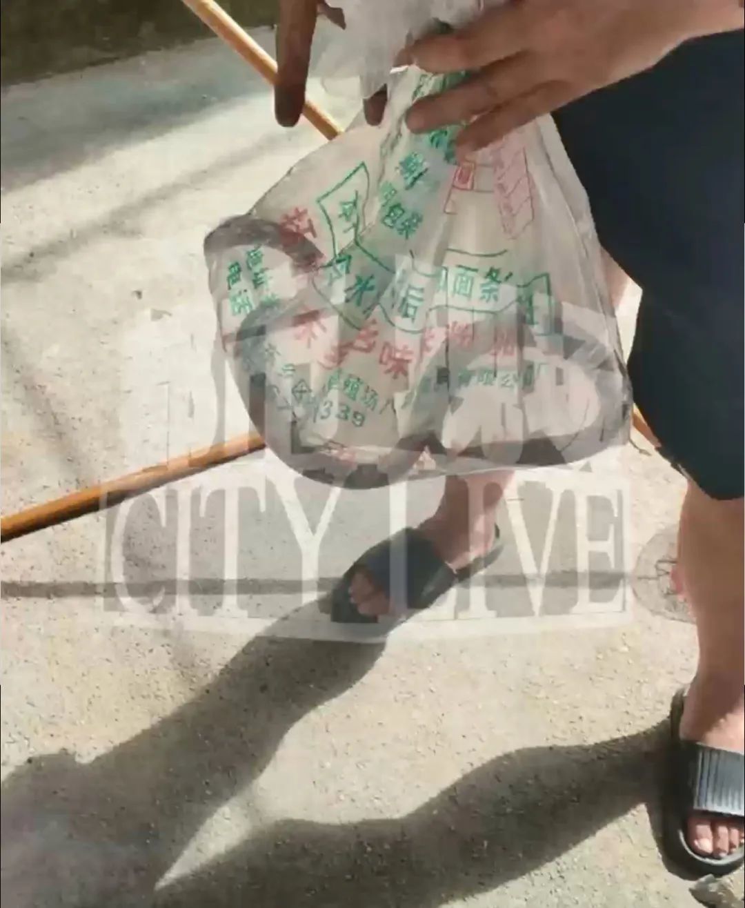 余干县一居民家惊现剧毒银环蛇 长度超过1米（图）