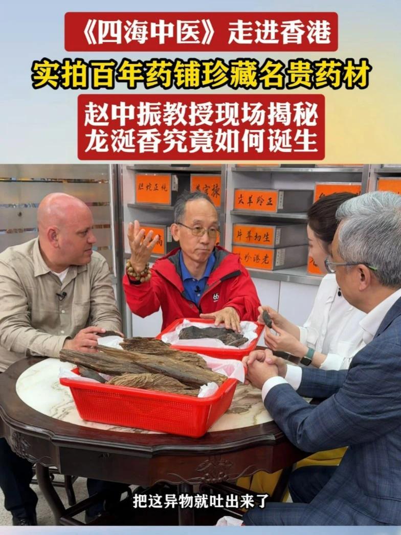 龙涎香究竟如何诞生 #四海中医走进香港 实拍百年药铺珍藏名贵药材 赵中振教授现场揭秘 龙涎香究竟如何诞生#四海中医