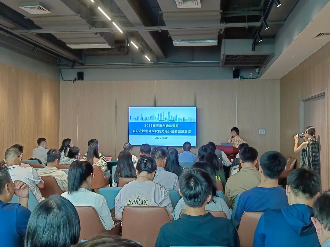 云端守护，智启未来！龙岗跨境电商共聚星河之巅