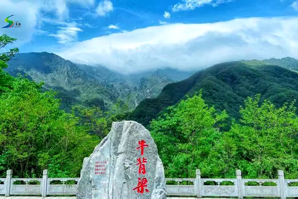 商洛市“十四五”生态环境保护十大成效