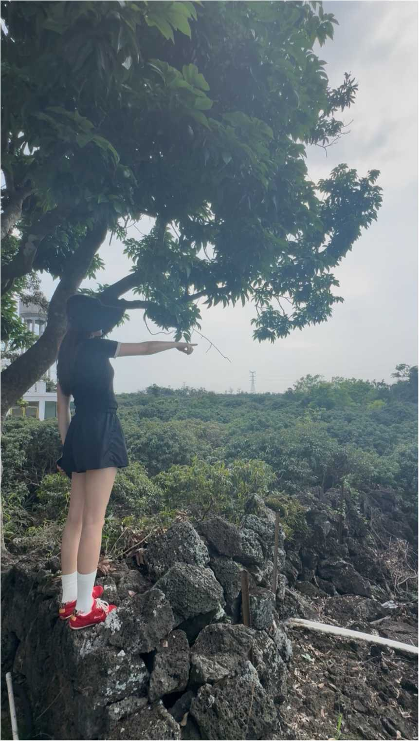 海南火山荔枝王：九零后美女创始人与水果猎人团队的匠心臻选