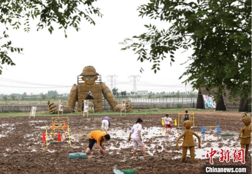 稻田寻宝、牧场奇遇、插秧比赛……端午节当天，在河北省沧县兴济镇南堤村盐碱稻田乐园里，200多个家庭参与“盐碱稻田寻宝季”活动，感受别样端午。图为小游客在河北省沧县兴济镇南堤村的盐碱稻田乐园中“寻宝”。 田博 摄