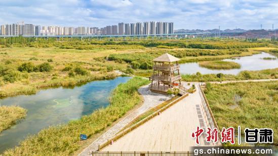 图为兰州新区秦王川国家湿地公园（资料图）　兰州新区党群政法和社会工作部供图