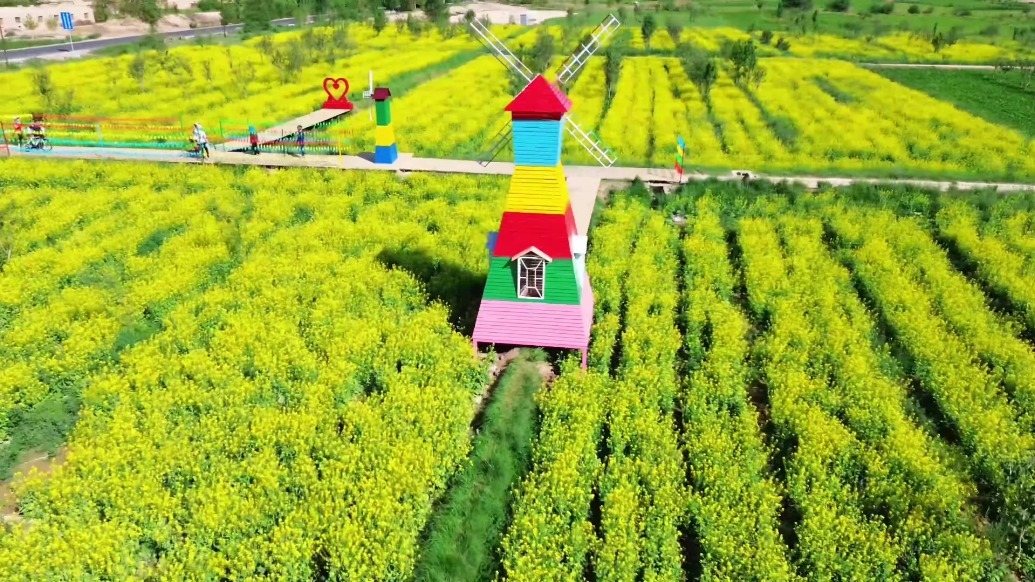 “骑”乐无穷！追风者明日驰骋肃州油菜花海