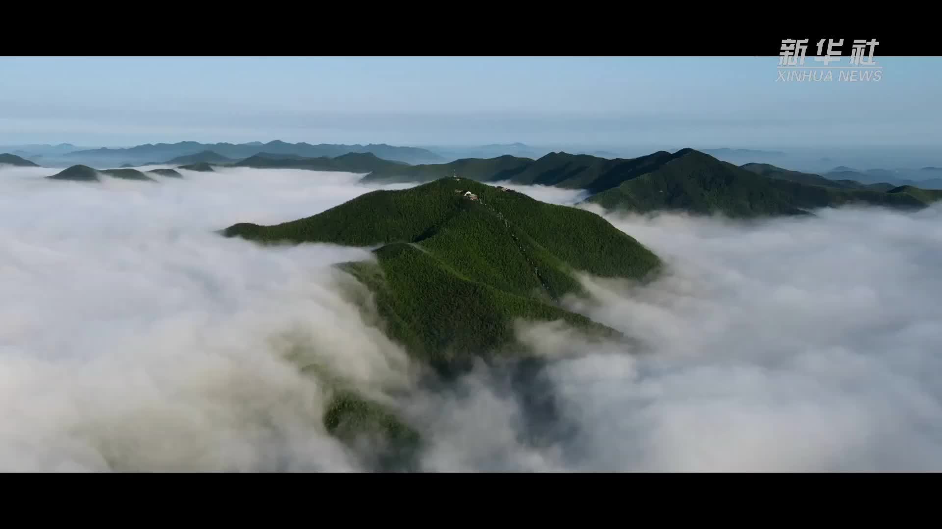 纪录片｜龙窑新火