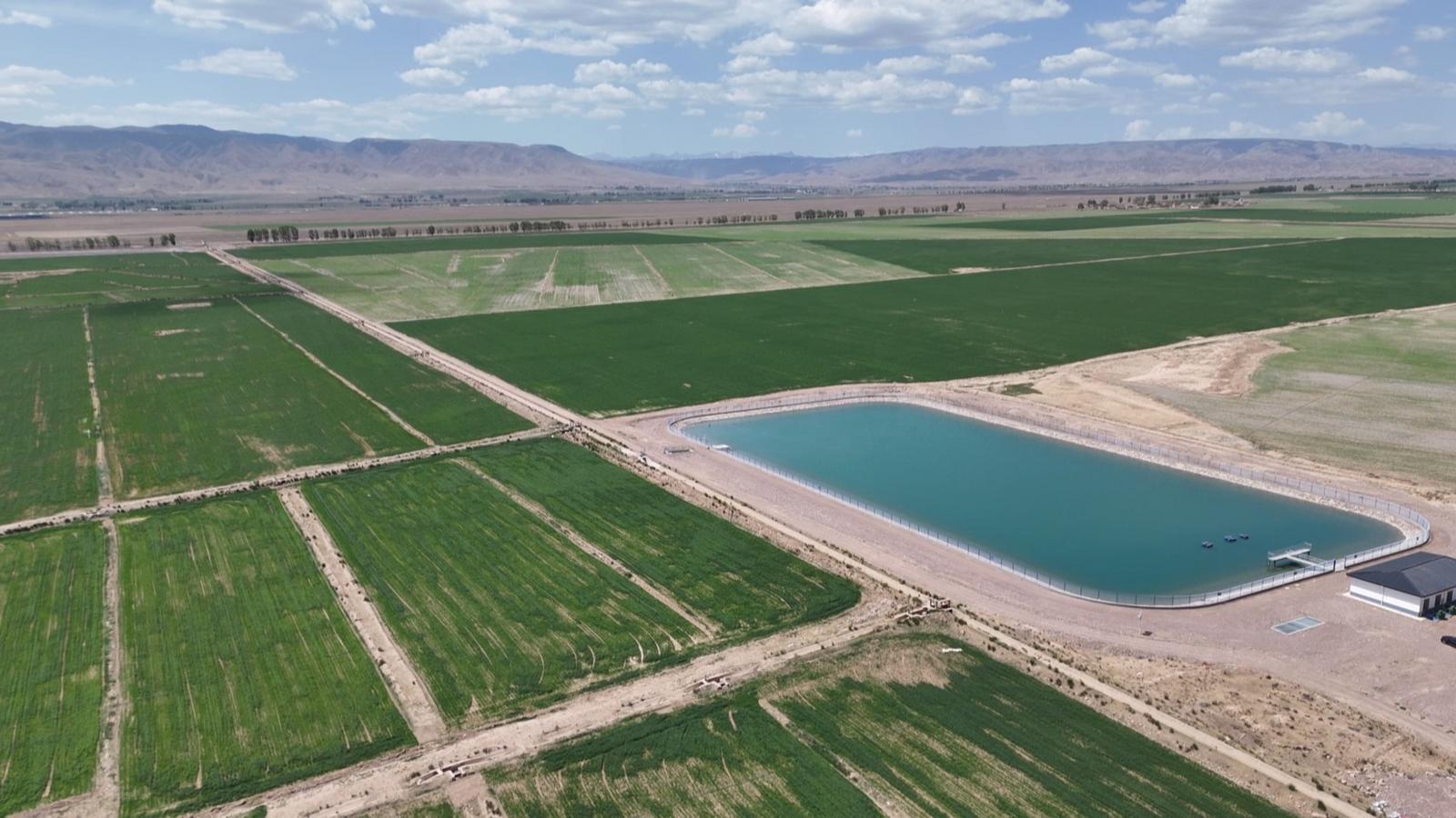 冬小麦“喝”上智慧水 永昌四季耕耘绘就“丰”景长卷