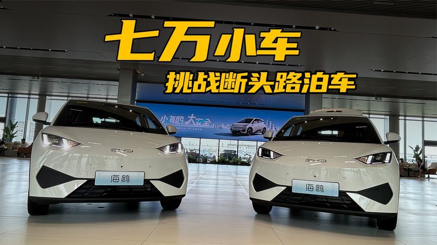 7万元的海鸥，挑战断头路泊车和100km/h主动刹停，能顺利完成？