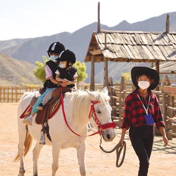 新兴乡村旅游业态受热捧