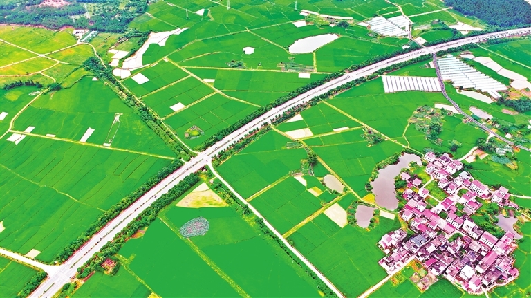 永丰县：夏日乡村美景（图）