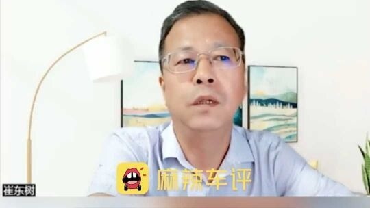 乘联分会秘书长崔东树：我个人只买燃油车，绝不买新能源车