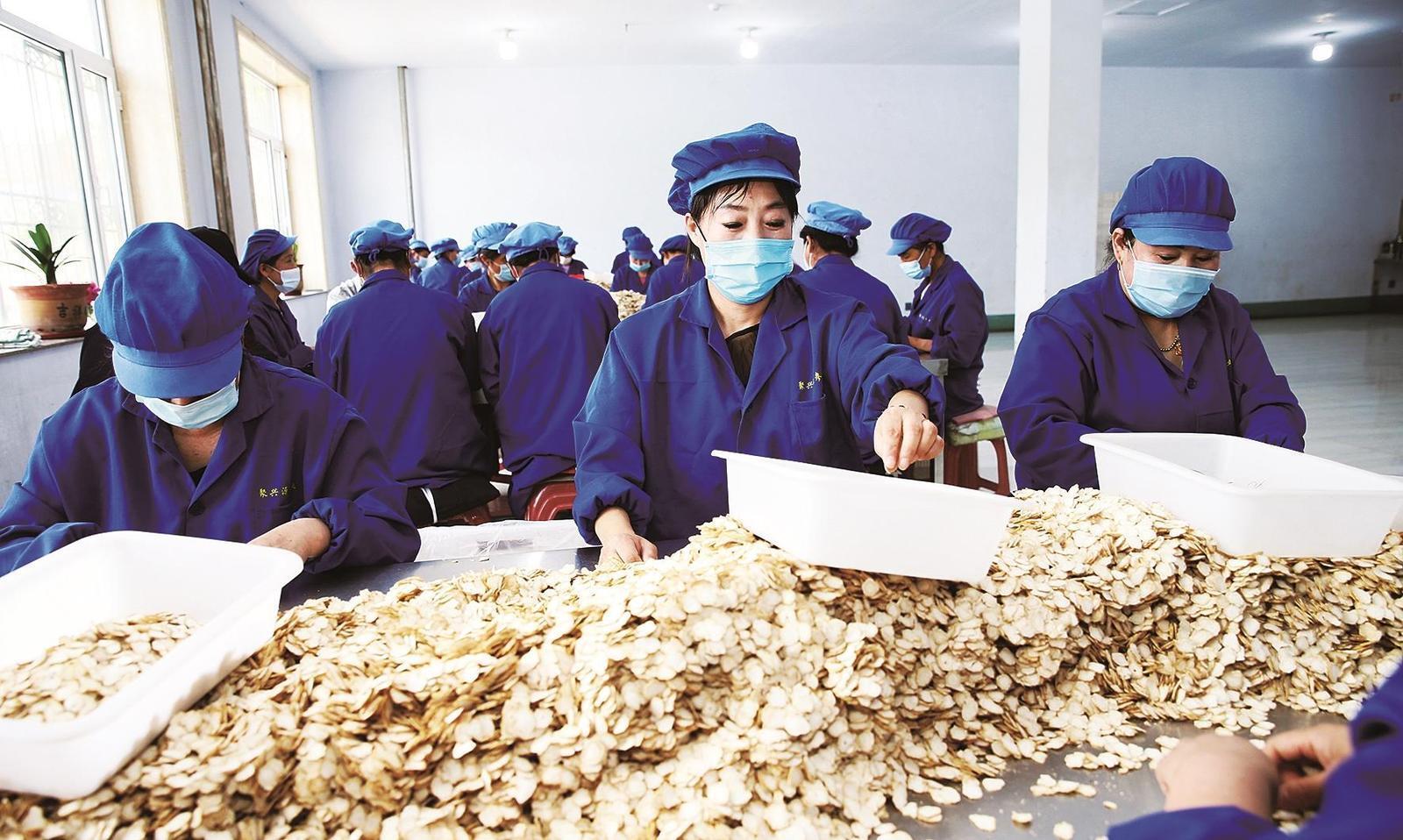 白山市不断加快人参精深加工步伐，琳琅满目的人参食品、药品、保健品、化妆品深受消费者青睐。