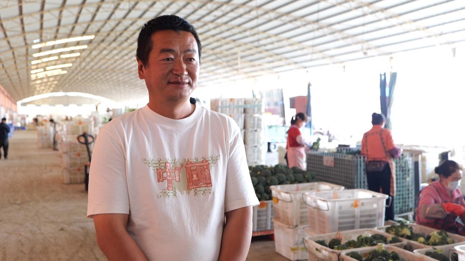 头茬高原夏菜抢“鲜”上市　永昌“北菜南下”销路旺