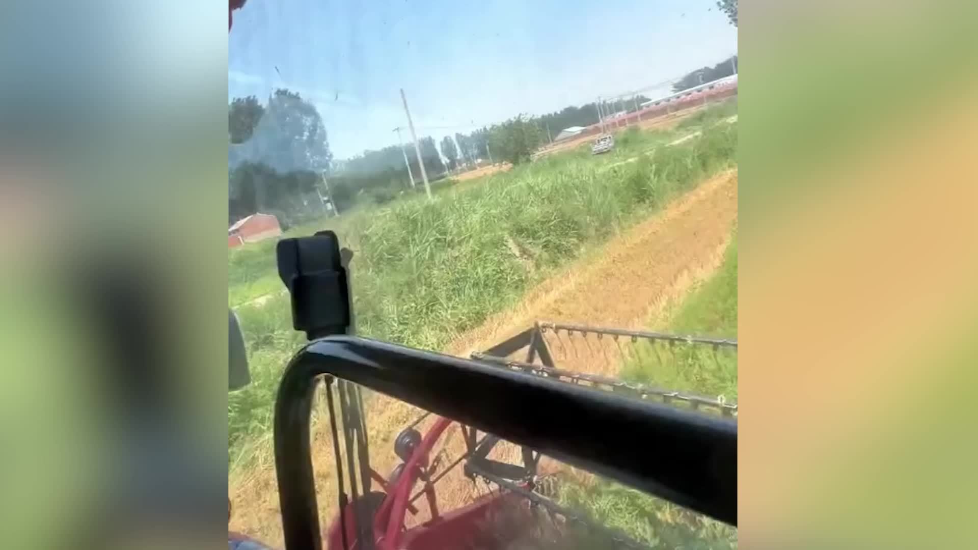 28岁女农机手发声：最多日赚五六千，一星期不洗澡是常态，曾收玉米与悬崖擦肩而过