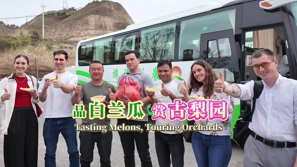 品白兰瓜赏古梨园