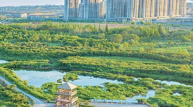 秦王川国家湿地公园风光美不胜收 本版图片均由兰州新区报记者 罗晋业 摄