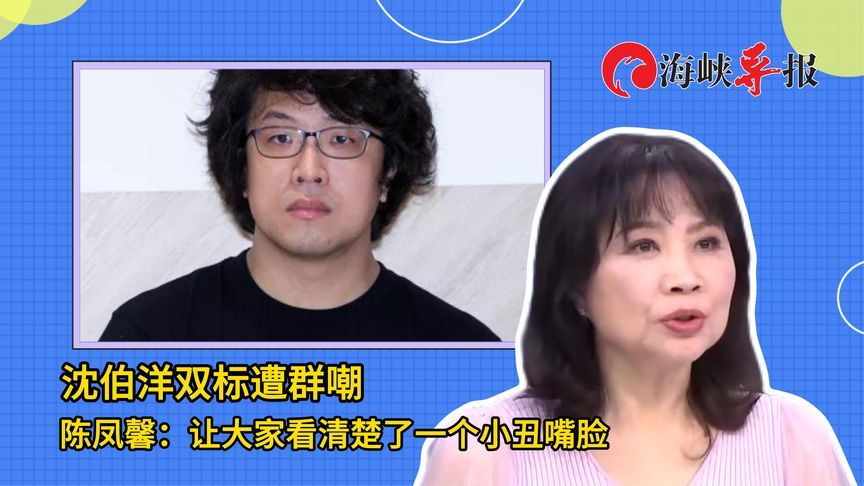 沈伯洋父亲用“中国台湾”名义登记，陈凤馨：绿营去照照镜子