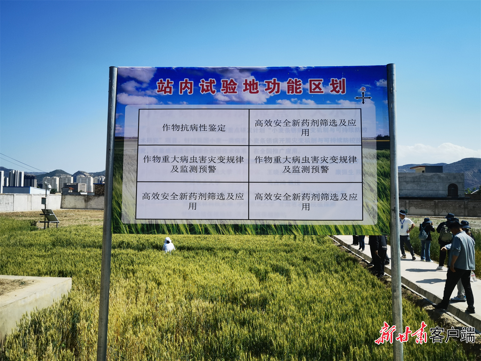 甘谷试验站冬小麦示范基地