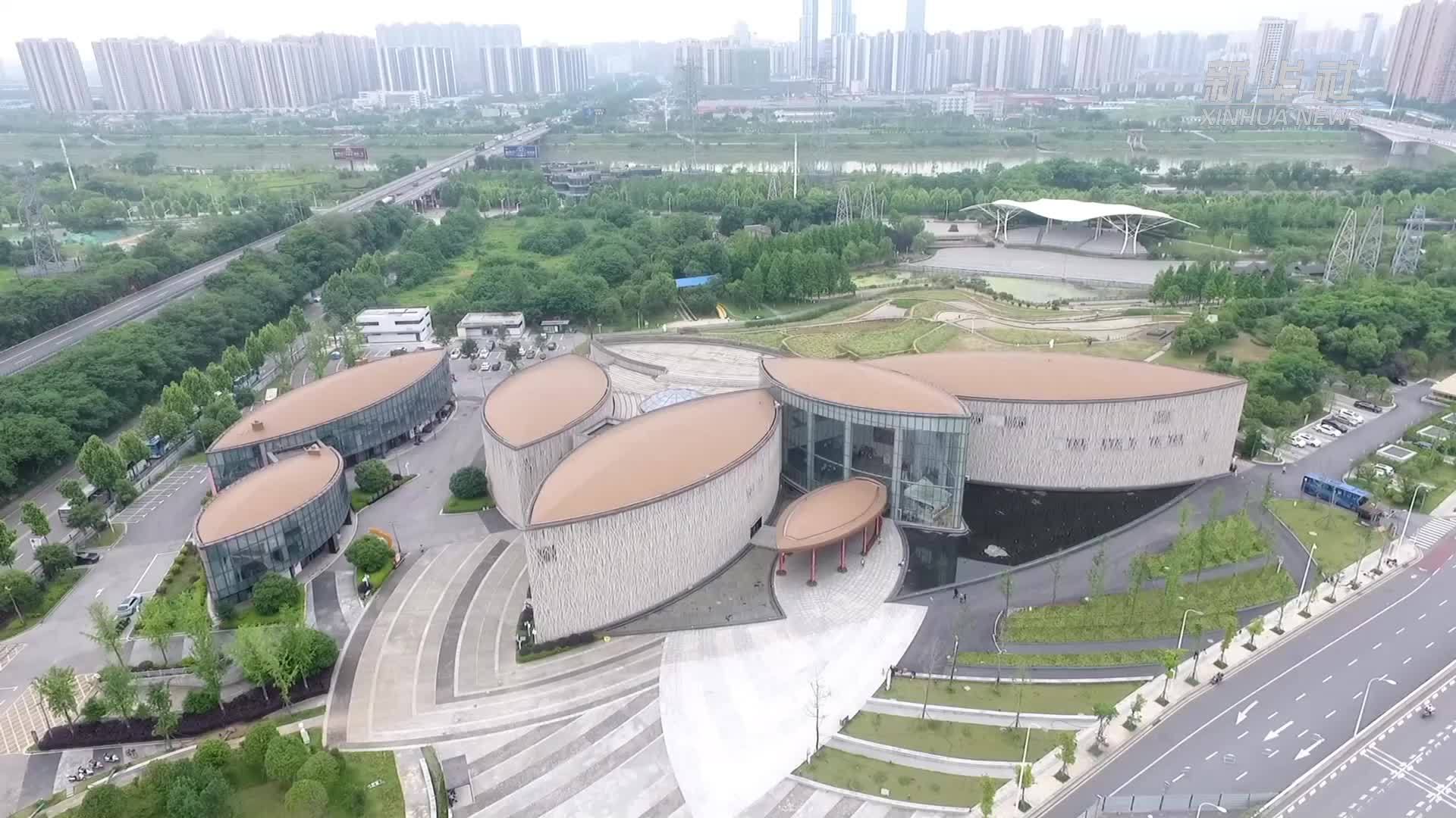 从“授人以渔”到“共享丰收”——中非农业合作谱写发展新篇