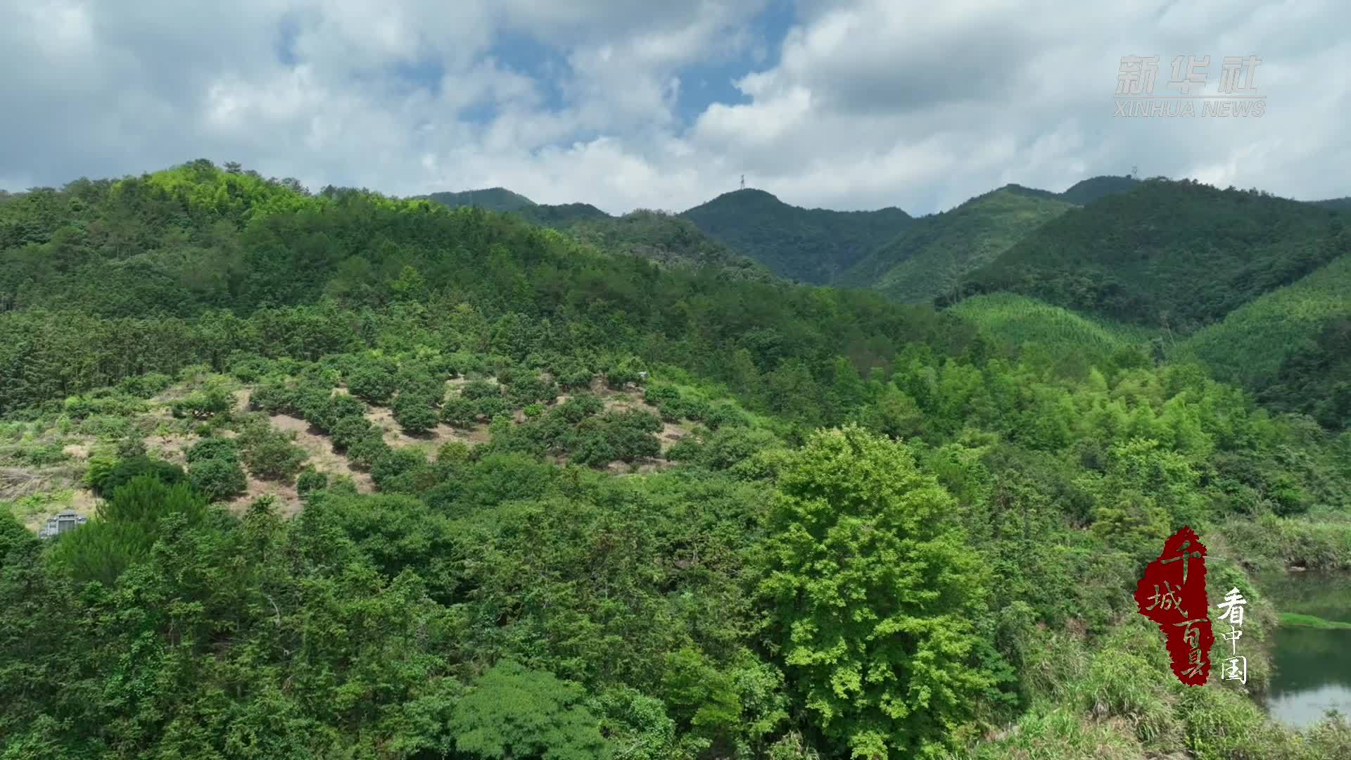 千城百县看中国｜福建邵武：奔赴乡野“梅”满而归