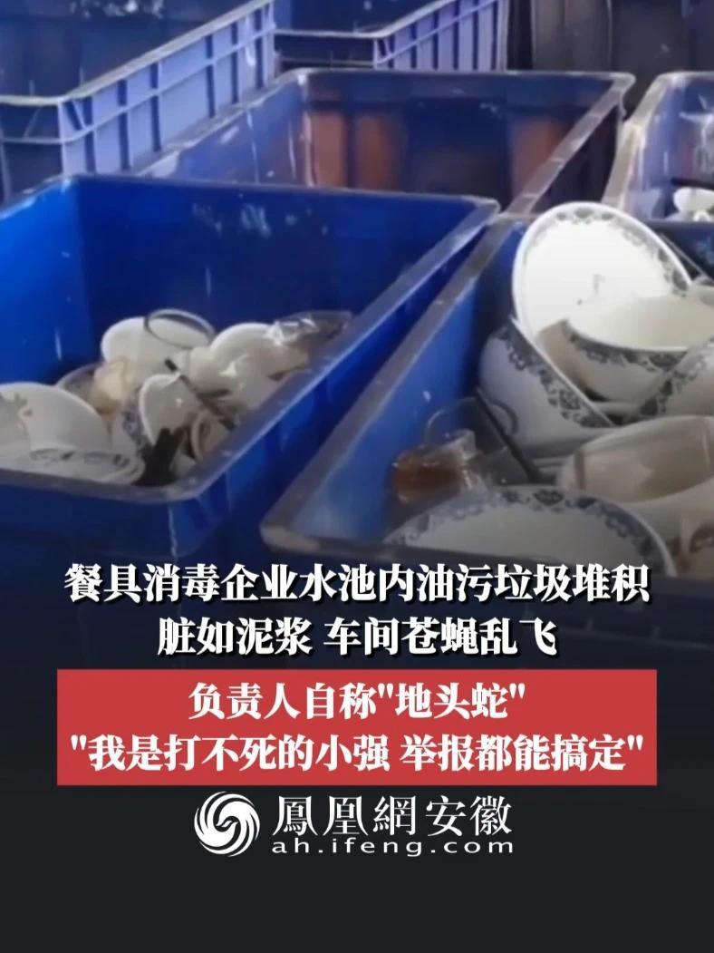 #凤观NEWS  6月12日消息，安徽来安，餐具消毒企业水池内油污垃圾堆积，脏如泥浆，车间苍蝇乱飞，负责人自称“地头蛇”，“我是打不死的小强，举报都能搞定”。#餐具消毒 #卫生 #生产