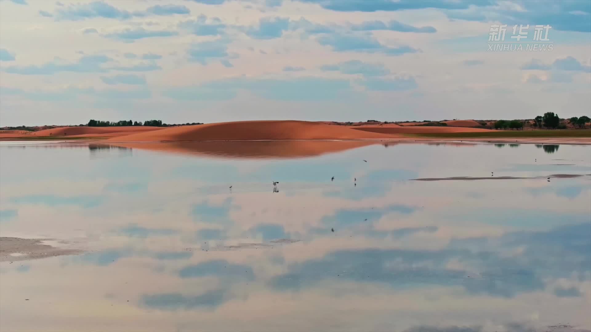 瞰中国｜达瓦淖尔湖：碧水蓝天共一色