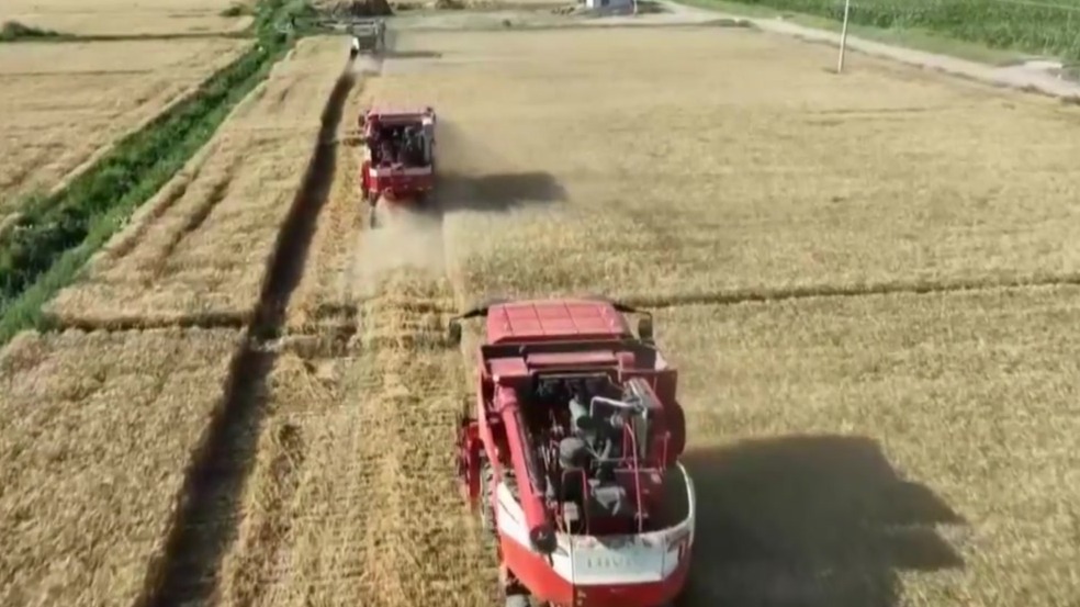 甘肃今年将加大农业社会化服务支持力度