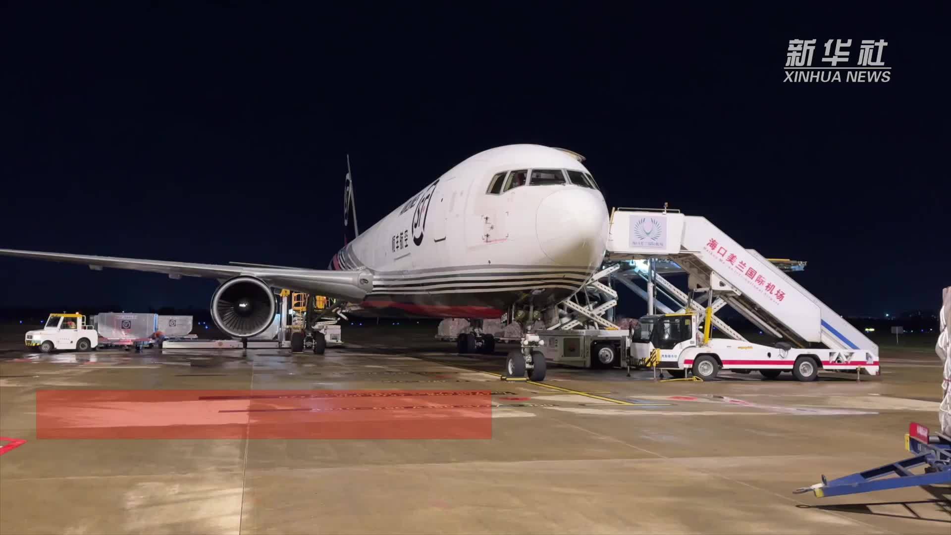 台风来袭，海口美兰国际机场增运力保荔枝抢“鲜”出岛