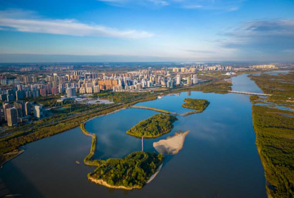 哈尔滨：十载守护湿地路 一城秀色半城景