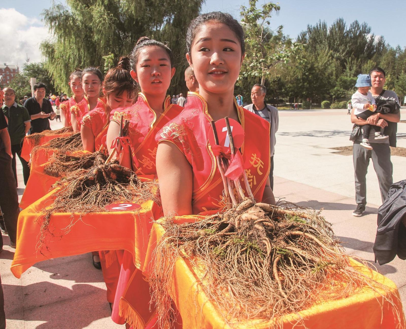 “中国人参之乡”抚松县每年都举办人参节，评选参王。