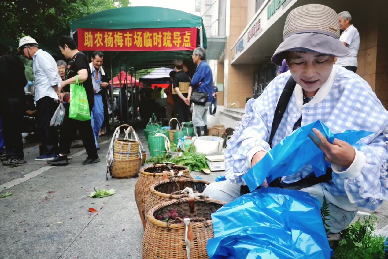 “梅”好有序，正当红——镇海骆驼杨梅临时疏导点温情上线