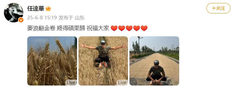 70岁任达华回山东老家收麦子，晒麦田打卡照，被赞干起活来不输年轻人