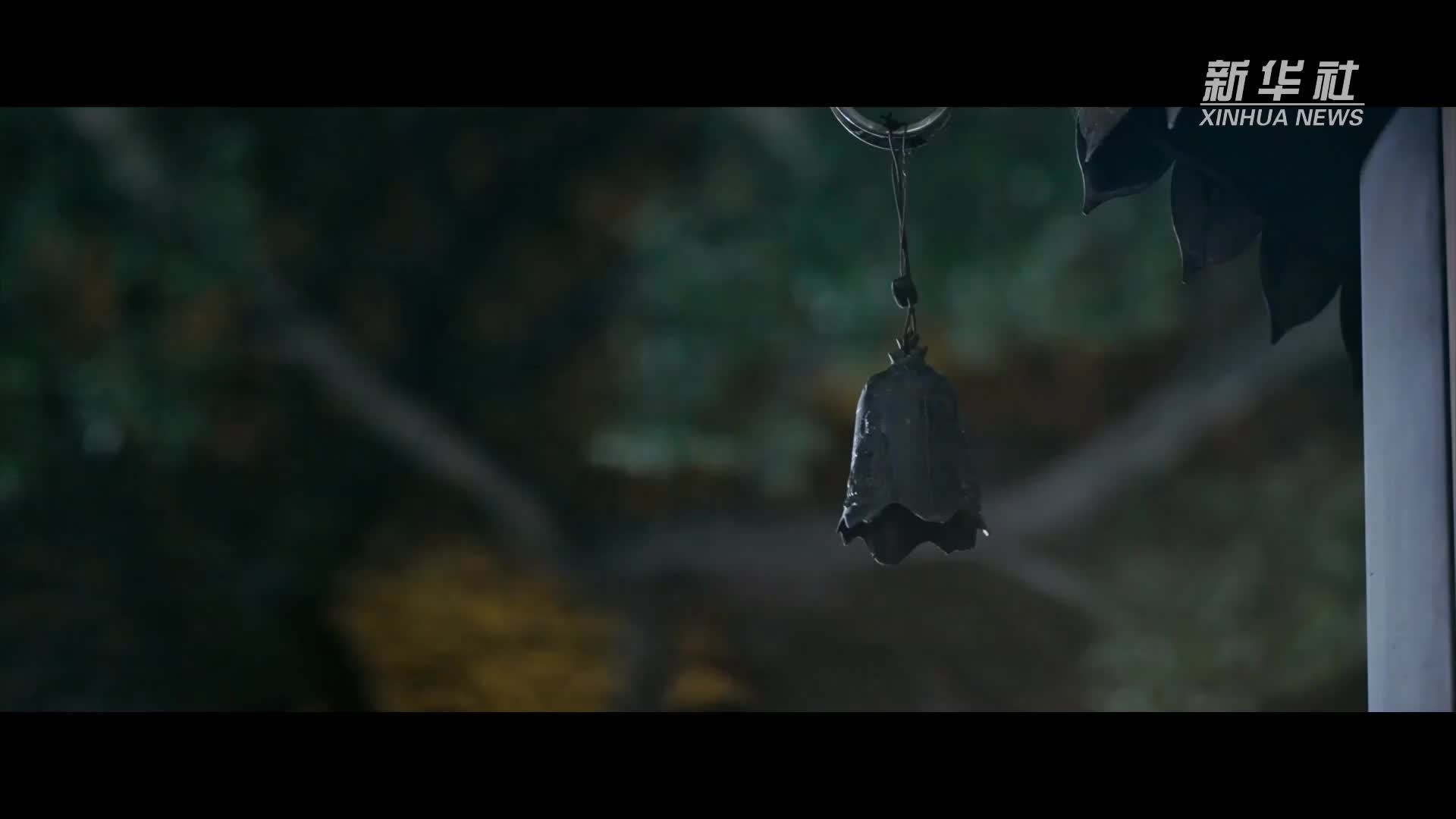 总书记关心的世界文化遗产丨海丝起点通天下