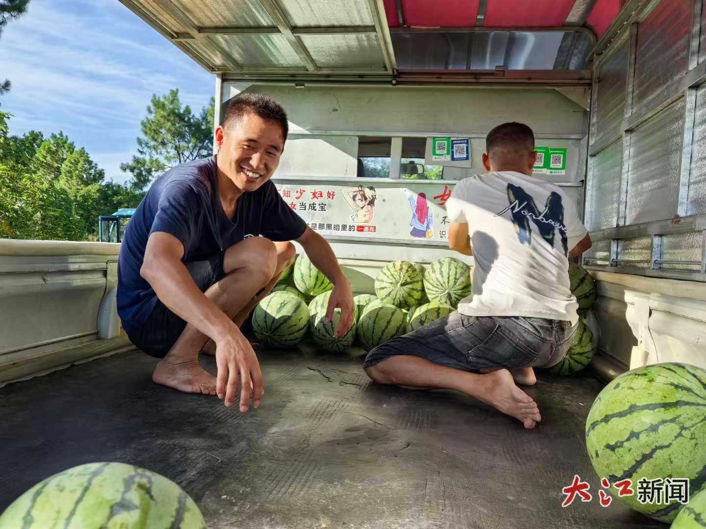 江西泰和露地麒麟西瓜大量上市
