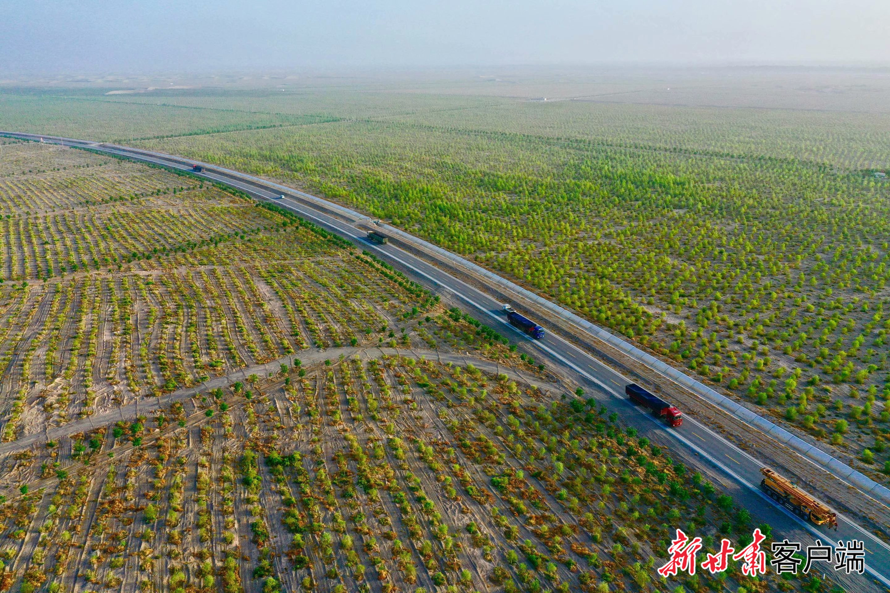 金塔县城至大墩门公路沿线“三北”六期工程　金塔县自然资源局供图