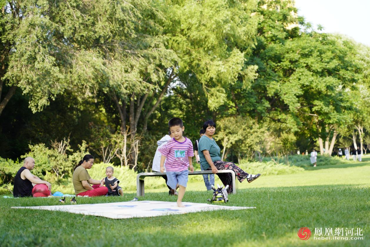 儿童草地娱乐场景