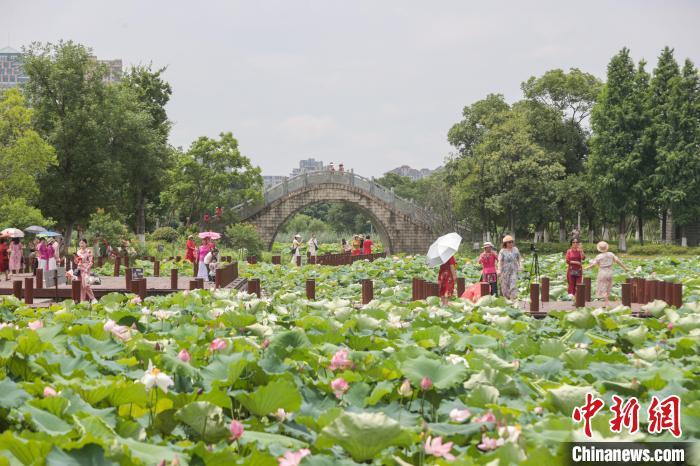 6月12日，江西南昌，位于城市之中的象湖湿地公园绿意盎然，夏荷渐开，风景秀美，不少市民游客前来游园赏花，感受大自然的美好。中新社记者 刘力鑫 摄