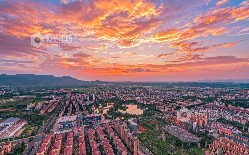 2025年6月9日在江西省吉安市峡江县锦绣湿地公园拍摄。