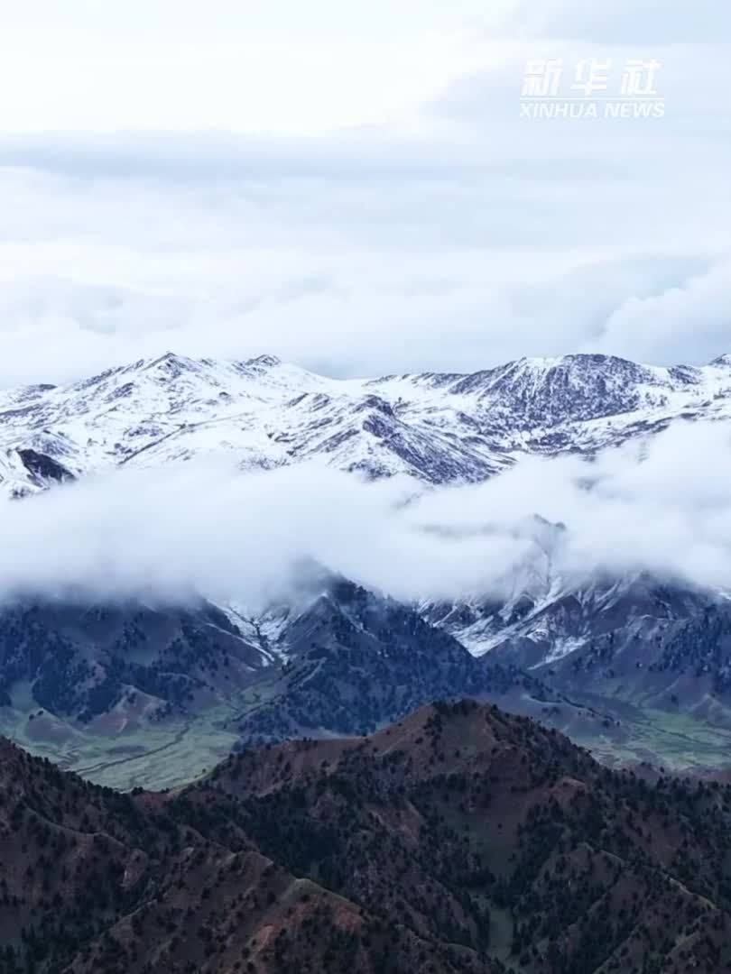 青海都兰：草原邂逅夏日雪山
