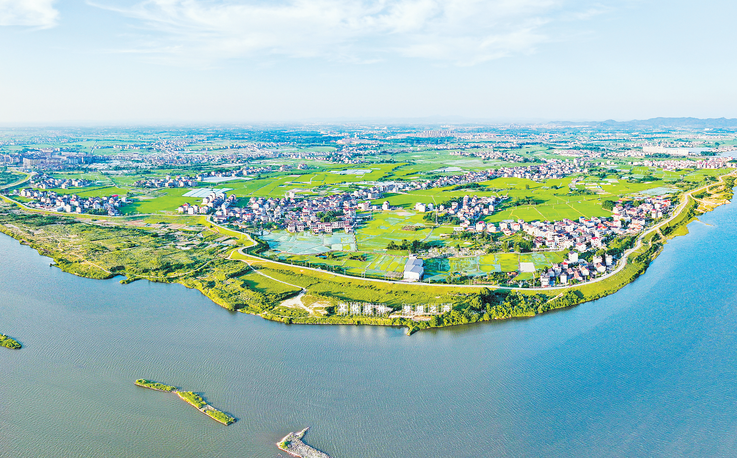 抚州东临新区：夏日田园美如画（图）