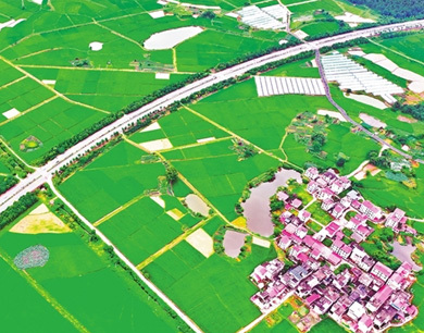 永丰县：夏日乡村美景