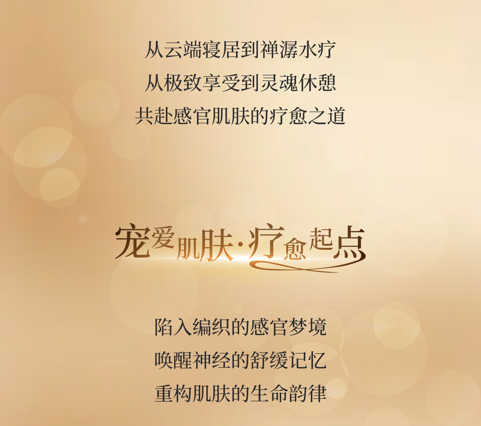 青岛美高梅酒店| 相伴两载「梅」好共鉴