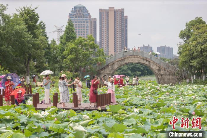 6月12日，江西南昌，位于城市之中的象湖湿地公园绿意盎然，夏荷渐开，风景秀美，不少市民游客前来游园赏花，感受大自然的美好。中新社记者 刘力鑫 摄