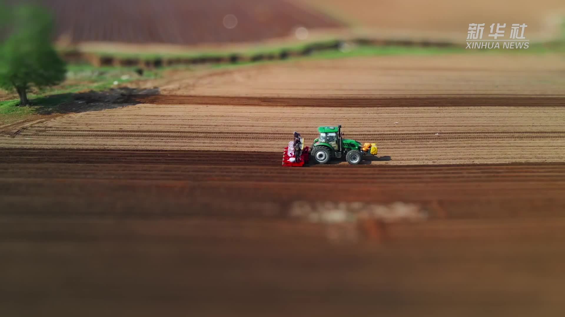 千城胜景｜内蒙古武川县：微观视角看夏耕